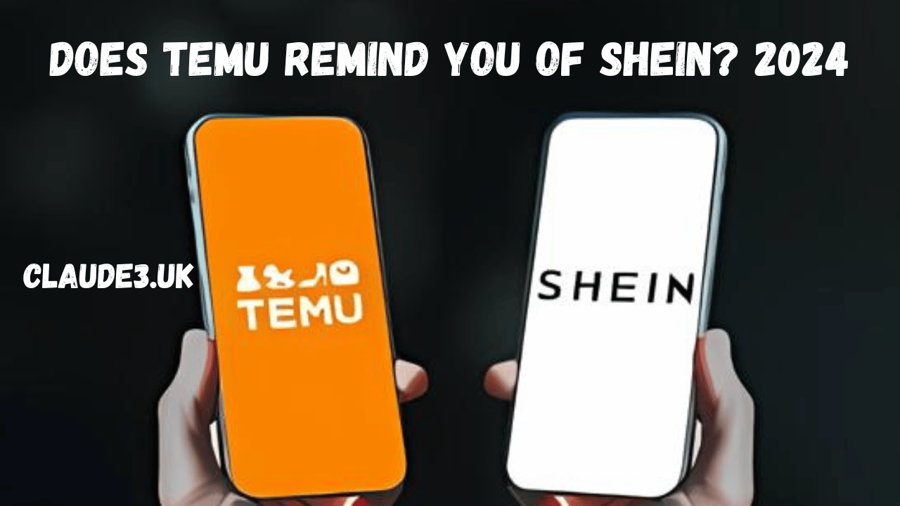 Does Temu Remind You of Shein? 2024