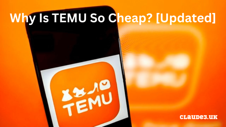 Why Is TEMU So Cheap? [Updated]